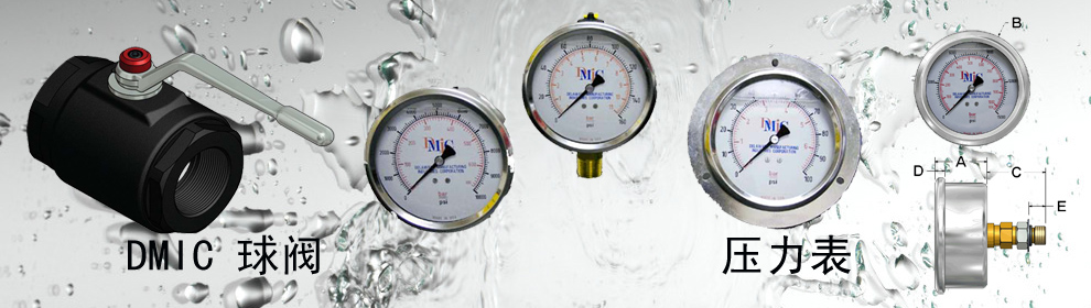 DMIC球閥/壓力表